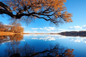 Obraz premium A sad willow tree with its branches gently touching the surface of a still pond, with the sky reflecting in the water