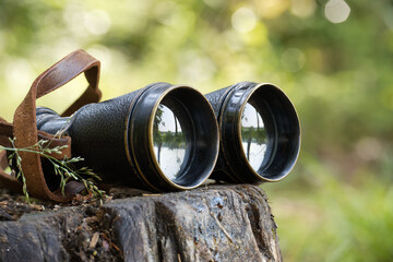 Vintage binoculars resting on a tree stump in a peaceful forest setting