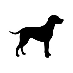 dog images, pet breeds svg, silhouette, dog 