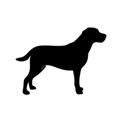 dog images, pet breeds svg, silhouette, dog 