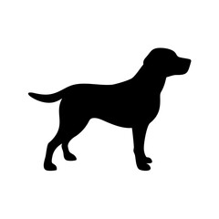 dog images, pet breeds svg, silhouette, dog 