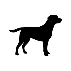 dog images, pet breeds svg, silhouette, dog 