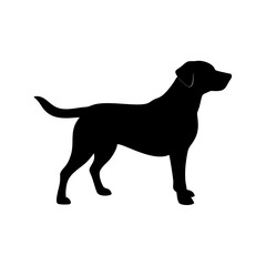 dog images, pet breeds svg, silhouette, dog 