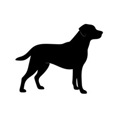 dog images, pet breeds svg, silhouette, dog 