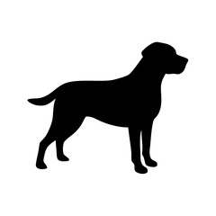 dog images, pet breeds svg, silhouette, dog 