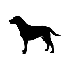 dog images, pet breeds svg, silhouette, dog 