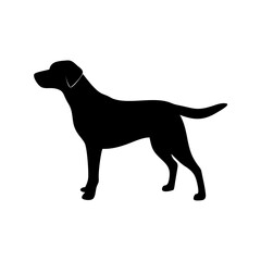 dog images, pet breeds svg, silhouette, dog 