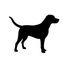 dog images, pet breeds svg, silhouette, dog 