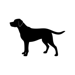 dog images, pet breeds svg, silhouette, dog 