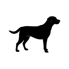 dog images, pet breeds svg, silhouette, dog 
