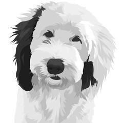 white terrier dog
