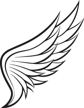 recommend clip art: wing line art vector
