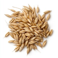 Fresh Raw Barley Grains on White Background in Studio Lighting, Generative Ai