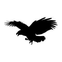 Vector Bald eagle screamed landing swoop