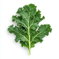 Vibrant Fresh Kale Leaves in Studio Lighting on White Background, Generative Ai