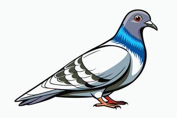 Pigeon Dove Bird Sketch vector illustration