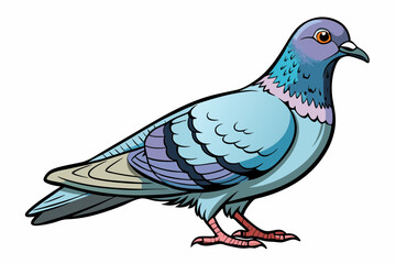 Pigeon Dove Bird Sketch vector illustration
