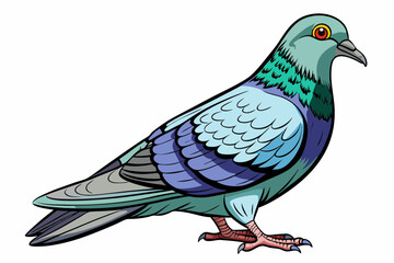 Pigeon Dove Bird Sketch vector illustration