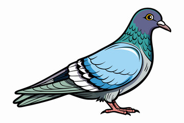 Pigeon Dove Bird Sketch vector illustration