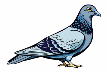 Pigeon Dove Bird Sketch vector illustration