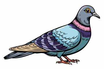 Pigeon Dove Bird Sketch vector illustration