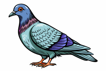 Pigeon Dove Bird Sketch vector illustration