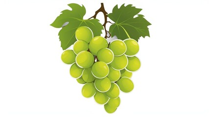 bunch of green grapes