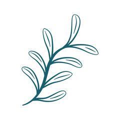 hand drawn leaf vector. leaf illustration. leaves illustration. aesthetic leaf illustration. simple leaf flat illustration.