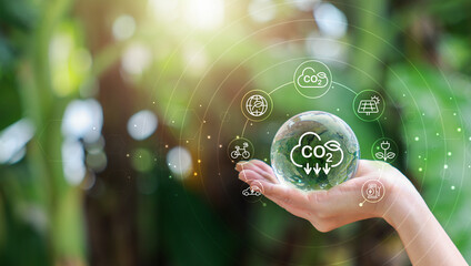 Hand holding with tree for co2, ESG and net zero. energy saving concept. save our planet, world...