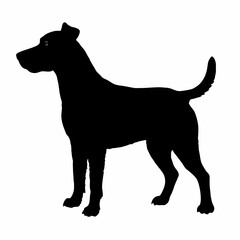 Dog Silhouette svg, Digital Download, Dog Silhouette svg bundle,Dog Silhouette png,Dog Breed Silhouettes, Dog Breed SVG