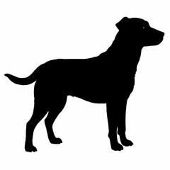 Dog Silhouette svg, Digital Download, Dog Silhouette svg bundle,Dog Silhouette png,Dog Breed Silhouettes, Dog Breed SVG