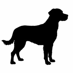 Dog Silhouette svg, Digital Download, Dog Silhouette svg bundle,Dog Silhouette png,Dog Breed Silhouettes, Dog Breed SVG