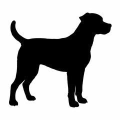 Dog Silhouette svg, Digital Download, Dog Silhouette svg bundle,Dog Silhouette png,Dog Breed Silhouettes, Dog Breed SVG