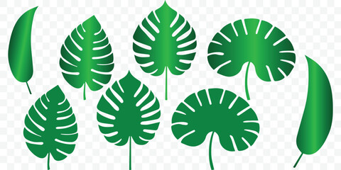 Leaf flat vector illustration icon set .