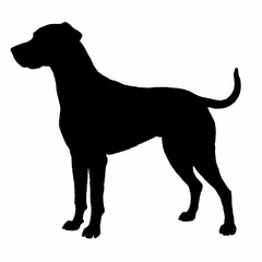 Dog Silhouette svg, Digital Download, Dog Silhouette svg bundle,Dog Silhouette png,Dog Breed Silhouettes, Dog Breed SVG