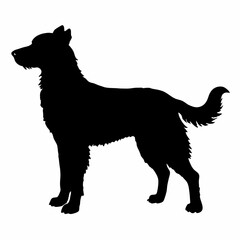 Dog Silhouette svg, Digital Download, Dog Silhouette svg bundle,Dog Silhouette png,Dog Breed Silhouettes, Dog Breed SVG