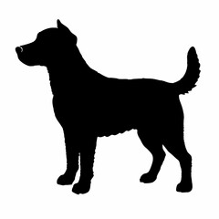 Dog Silhouette svg, Digital Download, Dog Silhouette svg bundle,Dog Silhouette png,Dog Breed Silhouettes, Dog Breed SVG