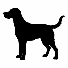 Dog Silhouette svg, Digital Download, Dog Silhouette svg bundle,Dog Silhouette png,Dog Breed Silhouettes, Dog Breed SVG