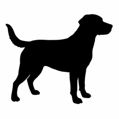 Dog Silhouette svg, Digital Download, Dog Silhouette svg bundle,Dog Silhouette png,Dog Breed Silhouettes, Dog Breed SVG