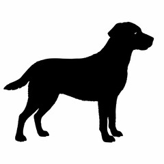 Dog Silhouette svg, Digital Download, Dog Silhouette svg bundle,Dog Silhouette png,Dog Breed Silhouettes, Dog Breed SVG