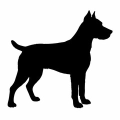 Dog Silhouette svg, Digital Download, Dog Silhouette svg bundle,Dog Silhouette png,Dog Breed Silhouettes, Dog Breed SVG