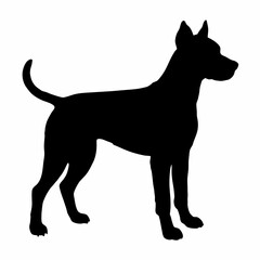 Dog Silhouette svg, Digital Download, Dog Silhouette svg bundle,Dog Silhouette png,Dog Breed Silhouettes, Dog Breed SVG