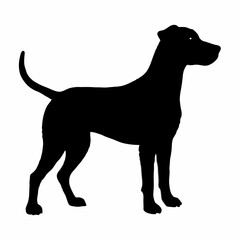 Dog Silhouette svg, Digital Download, Dog Silhouette svg bundle,Dog Silhouette png,Dog Breed Silhouettes, Dog Breed SVG