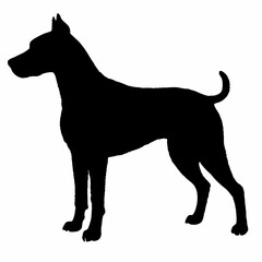 Dog Silhouette svg, Digital Download, Dog Silhouette svg bundle,Dog Silhouette png,Dog Breed Silhouettes, Dog Breed SVG