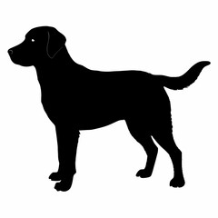 Dog Silhouette svg, Digital Download, Dog Silhouette svg bundle,Dog Silhouette png,Dog Breed Silhouettes, Dog Breed SVG
