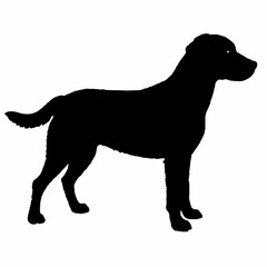 Dog Silhouette svg, Digital Download, Dog Silhouette svg bundle,Dog Silhouette png,Dog Breed Silhouettes, Dog Breed SVG