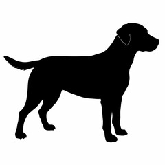 Dog Silhouette svg, Digital Download, Dog Silhouette svg bundle,Dog Silhouette png,Dog Breed Silhouettes, Dog Breed SVG