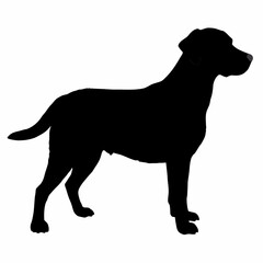 Dog Silhouette svg, Digital Download, Dog Silhouette svg bundle,Dog Silhouette png,Dog Breed Silhouettes, Dog Breed SVG
