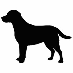 Dog Silhouette svg, Digital Download, Dog Silhouette svg bundle,Dog Silhouette png,Dog Breed Silhouettes, Dog Breed SVG