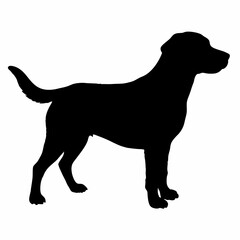 Dog Silhouette svg, Digital Download, Dog Silhouette svg bundle,Dog Silhouette png,Dog Breed Silhouettes, Dog Breed SVG